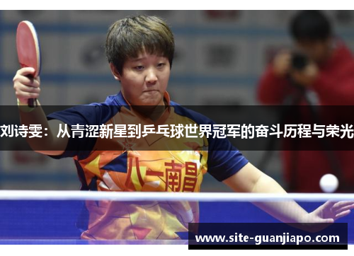 刘诗雯：从青涩新星到乒乓球世界冠军的奋斗历程与荣光